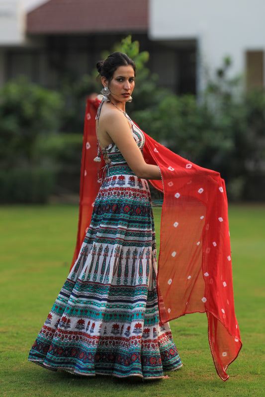 Multicolor Kali Lehenga With Backless Blouse and Dupatta
